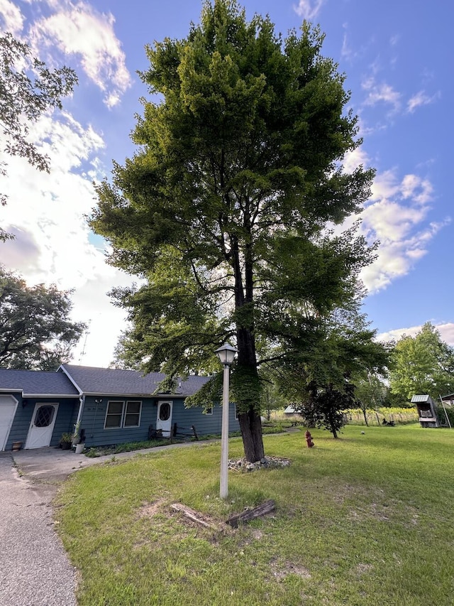 view of front facade with driveway and a front lawn