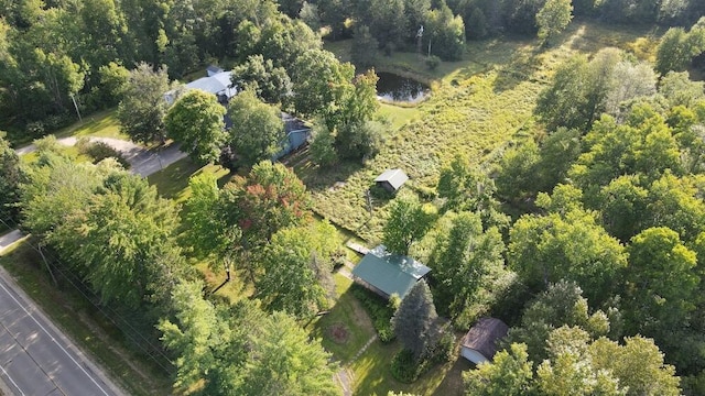 aerial view with a view of trees