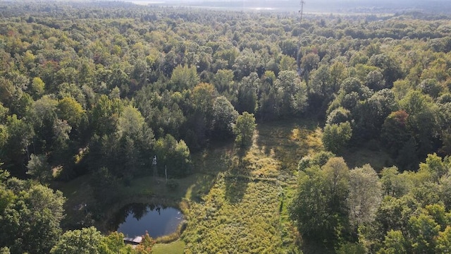 bird's eye view featuring a water view and a wooded view