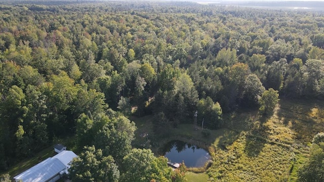 bird's eye view with a view of trees and a water view