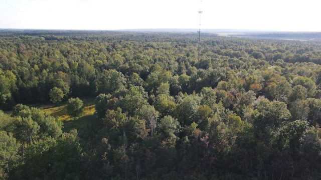 aerial view with a view of trees