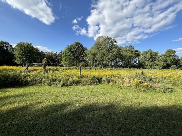 view of yard featuring a rural view