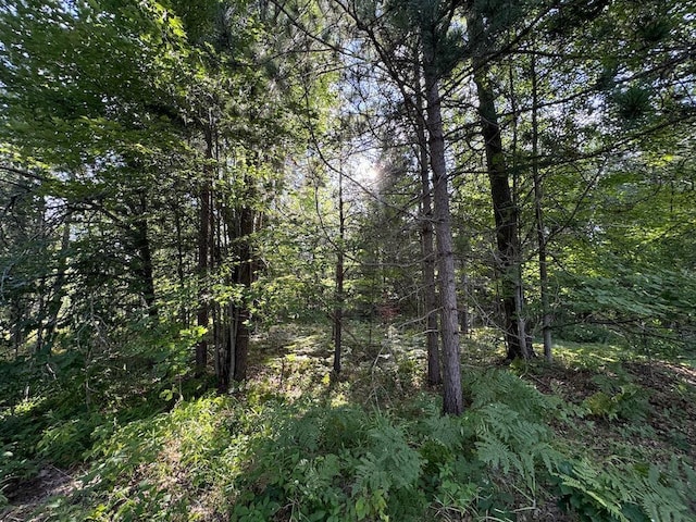 view of local wilderness with a view of trees