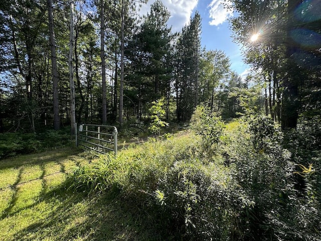 view of landscape featuring a wooded view