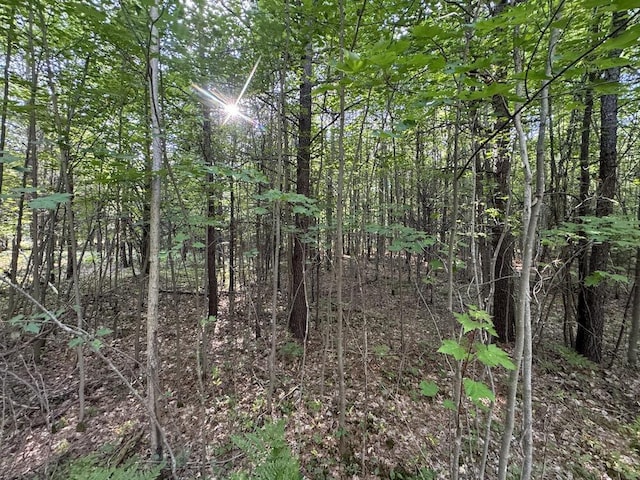 view of nature featuring a wooded view