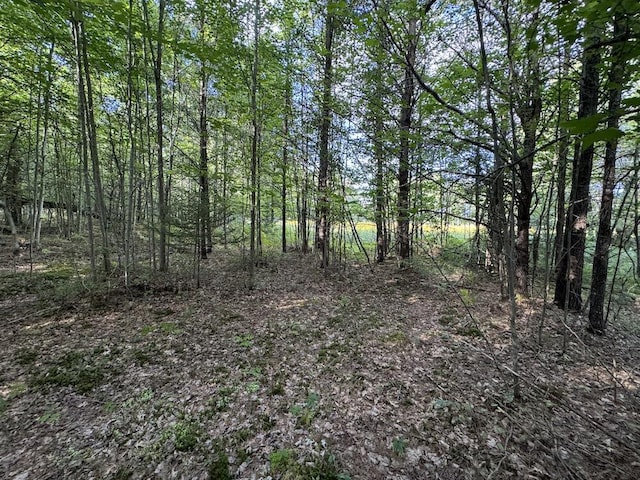 view of landscape