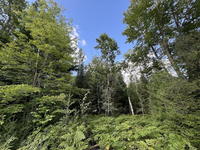 view of nature featuring a forest view