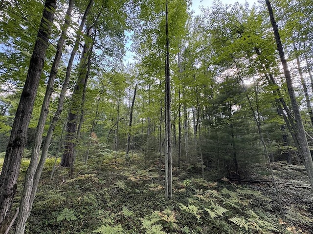 view of landscape featuring a forest view