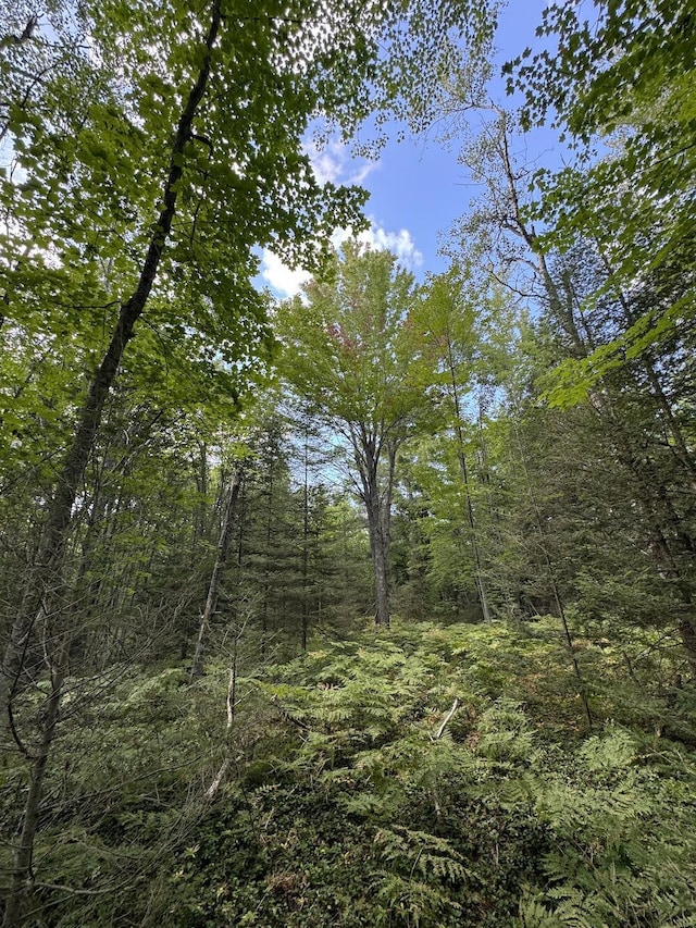 view of landscape featuring a wooded view