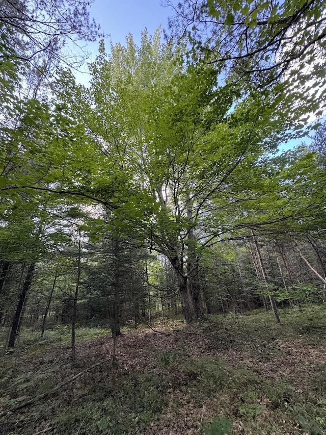 view of landscape featuring a wooded view