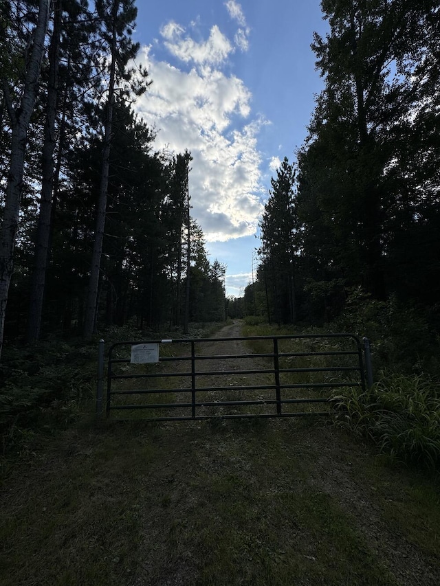 view of yard with a gate