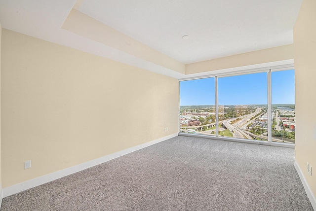 empty room with carpet and baseboards