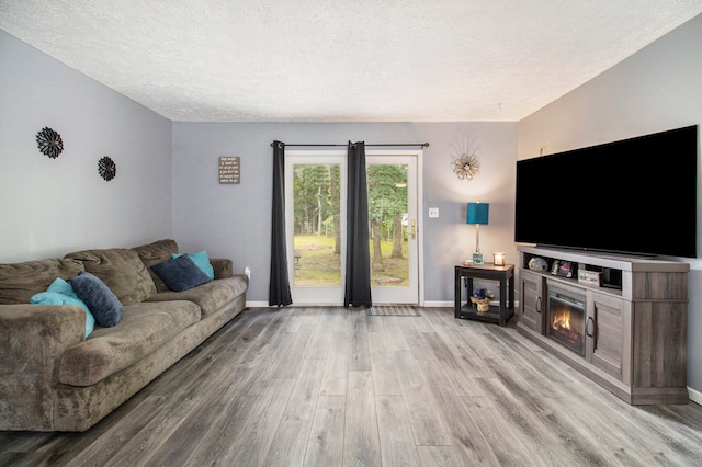 living room featuring hardwood / wood-style floors and a textured ceiling