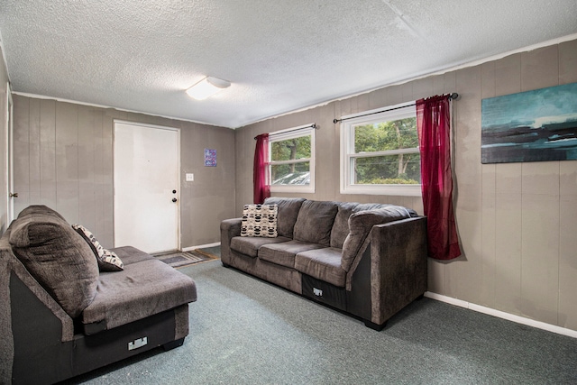 living room with a textured ceiling and carpet floors