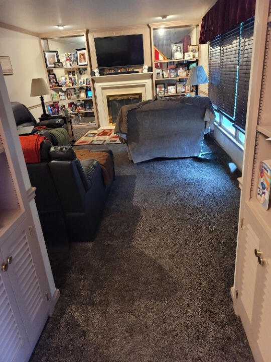 carpeted living room featuring built in shelves