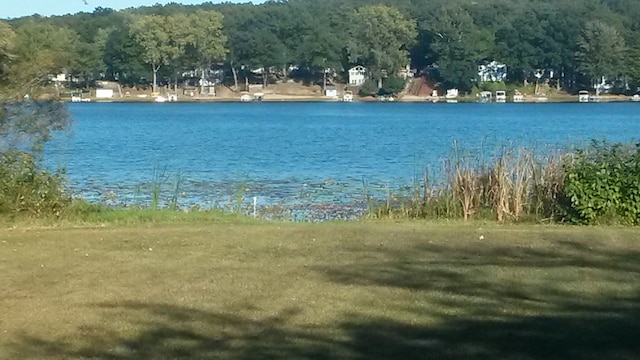 view of water feature