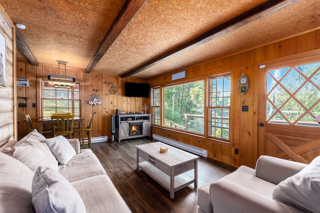 living room with a baseboard heating unit, dark hardwood / wood-style flooring, a wealth of natural light, and beam ceiling