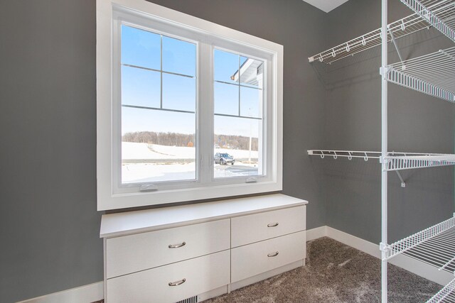 spacious closet featuring carpet flooring