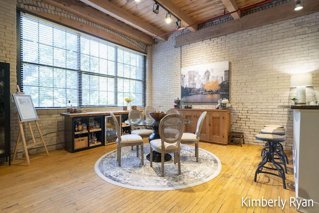 interior space featuring rail lighting, light hardwood / wood-style floors, and a wealth of natural light