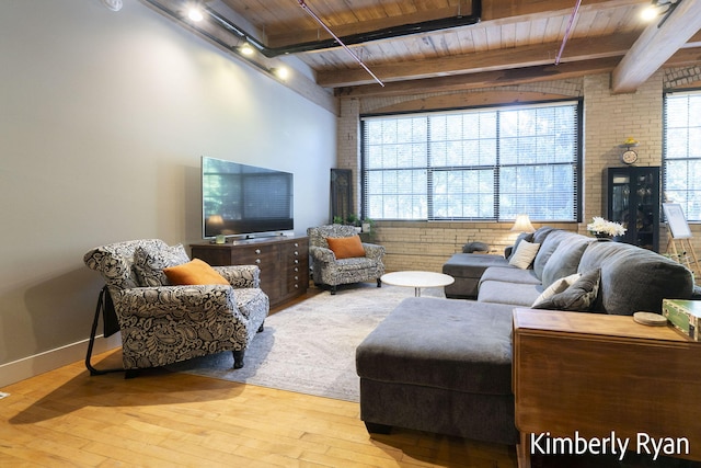 living room featuring wood ceiling, hardwood / wood-style floors, and a healthy amount of sunlight