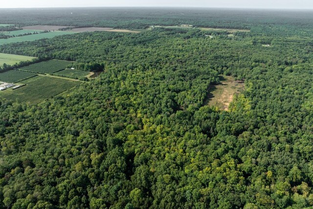 00V/L S Wolf Lake Rd, Fruitport, MI 49415