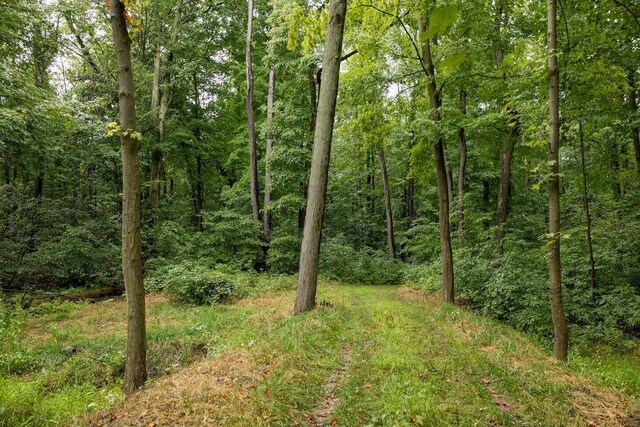 00V/L S Wolf Lake Rd, Fruitport, MI 49415