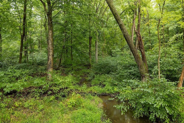 00V/L S Wolf Lake Rd, Fruitport, MI 49415