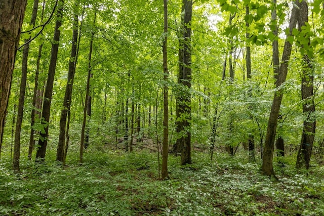 00V/L S Wolf Lake Rd, Fruitport, MI 49415