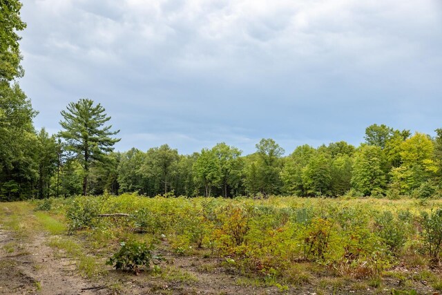00V/L S Wolf Lake Rd, Fruitport, MI 49415