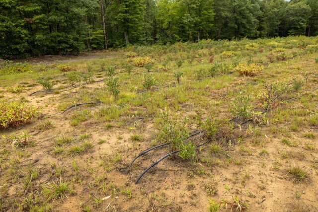 00V/L S Wolf Lake Rd, Fruitport, MI 49415