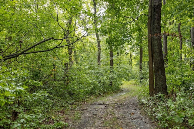00V/L S Wolf Lake Rd, Fruitport, MI 49415