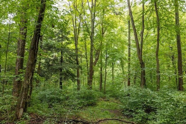 00V/L S Wolf Lake Rd, Fruitport, MI 49415