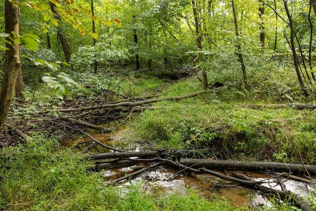 00V/L S Wolf Lake Rd, Fruitport, MI 49415