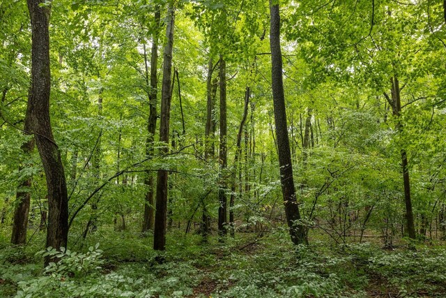 00V/L S Wolf Lake Rd, Fruitport, MI 49415