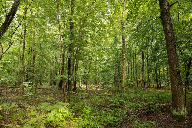 00V/L S Wolf Lake Rd, Fruitport, MI 49415