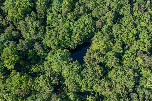 00V/L S Wolf Lake Rd, Fruitport, MI 49415