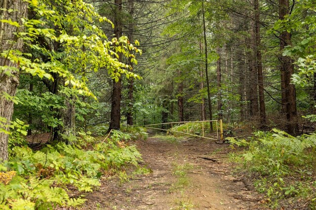 00V/L S Wolf Lake Rd, Fruitport, MI 49415