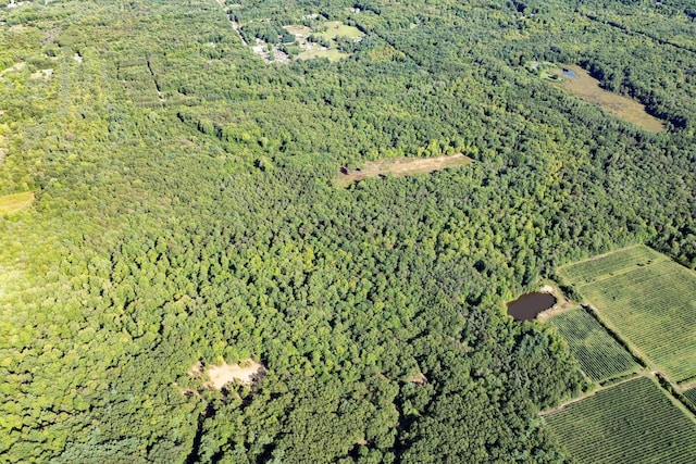 00V/L S Wolf Lake Rd, Fruitport, MI 49415