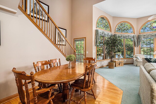 dining area with carpet