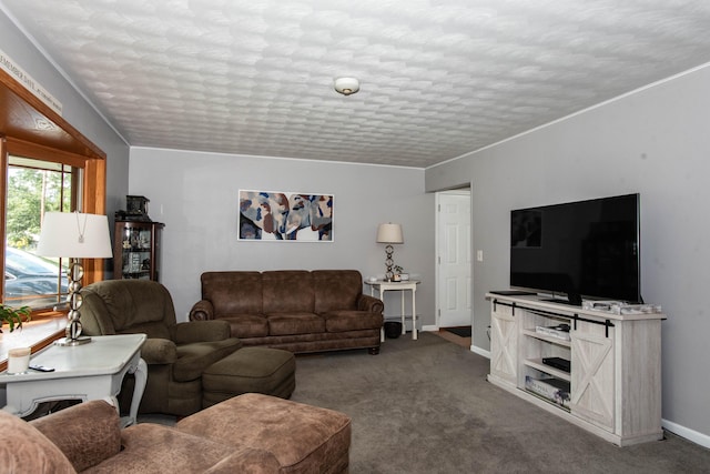 living room with crown molding, carpet, and a textured ceiling