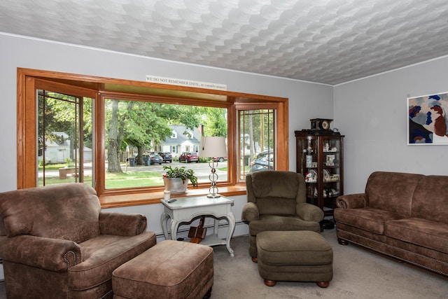 living room featuring carpet and a textured ceiling