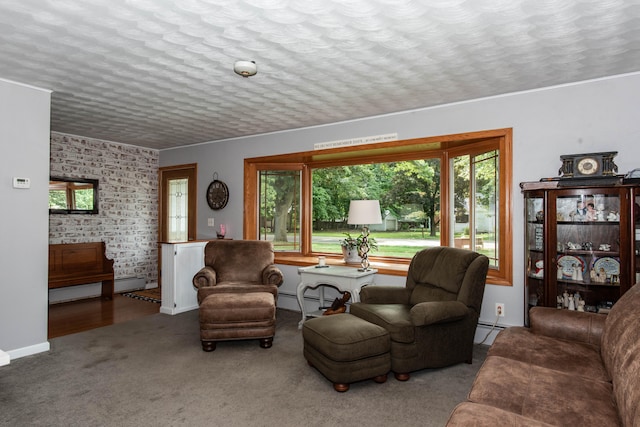 living room with carpet, a textured ceiling, and a baseboard heating unit