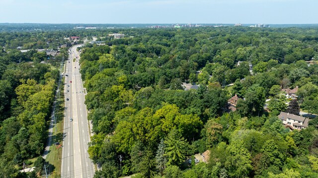 bird's eye view