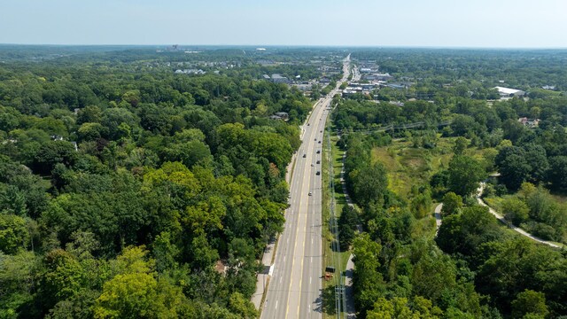 bird's eye view