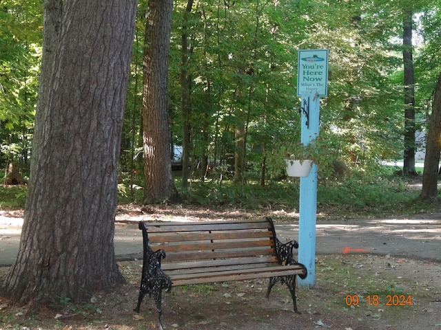 5540 Cozy Point Dr, Newaygo, MI 49337 - view of community