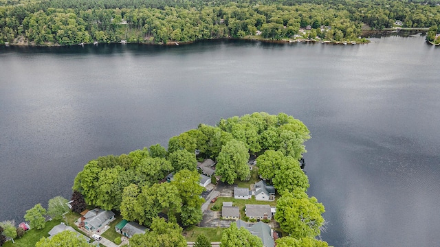 5540 Cozy Point Dr, Newaygo, MI 49337 - aerial view of residential area with a large body of water and a heavily wooded area