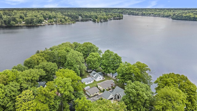 5540 Cozy Point Dr, Newaygo, MI 49337 - aerial view of a forest and a nearby body of water