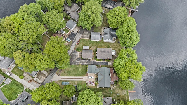 5540 Cozy Point Dr, Newaygo, MI 49337 - view of property location with a nearby body of water and nearby suburban area