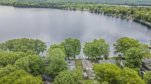 5540 Cozy Point Dr, Newaygo, MI 49337 - aerial view of residential area with a nearby body of water and a forest
