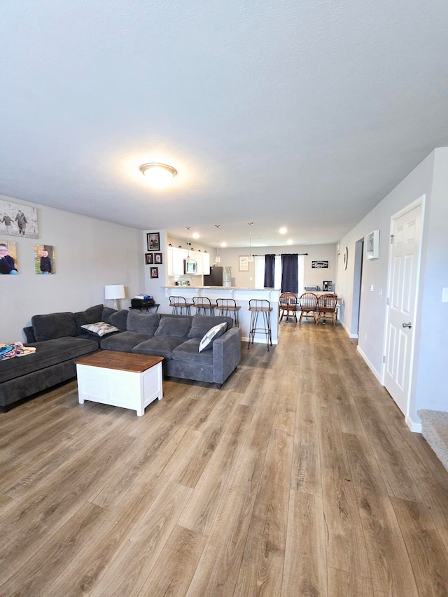 living room with light wood-type flooring